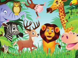 Tìm hiểu về game cờ thú online và những bí quyết chơi game này