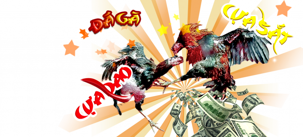 Chia sẻ một vài bí quyết đá gà online để người chơi tự tin tham gia