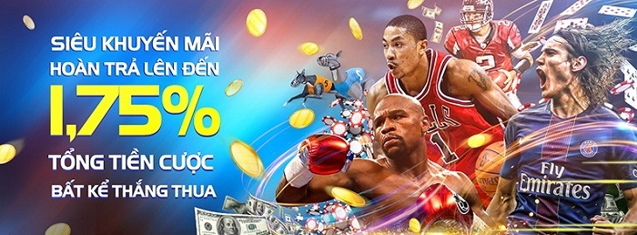 Link vào nhà cái uy tín 8live - Khám phá cá cược trực tuyến hay nhất