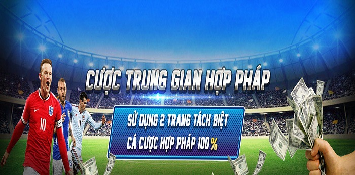 Link vào nhà cái uy tín 8live - Khám phá cá cược trực tuyến hay nhất