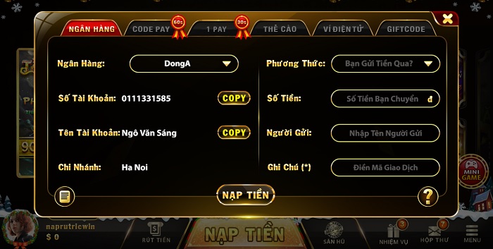 Hướng Dẫn Rút Nạp Tiền Chi Tiết Tại ricwin