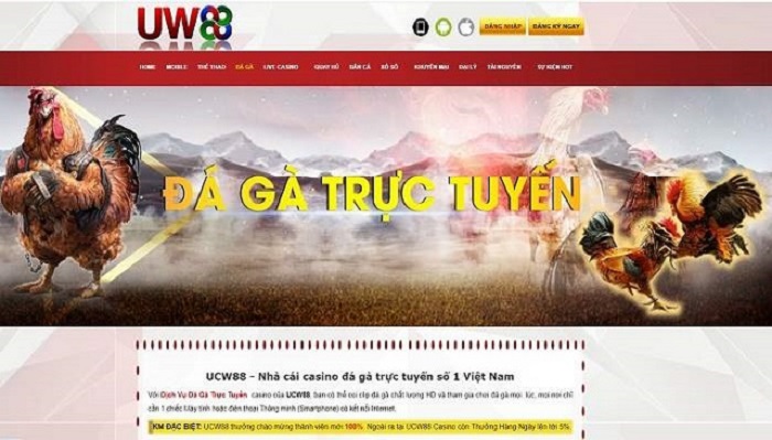 ucw88 | Link vào ucw88 mới nhất | Đánh giá nhà cái ucw88