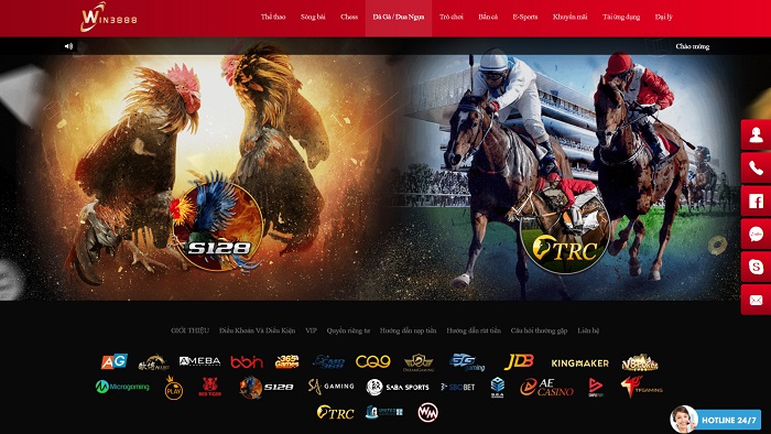 WIN2255 | Link vào WIN2255 mới nhất | Đánh giá nhà cái WIN2255