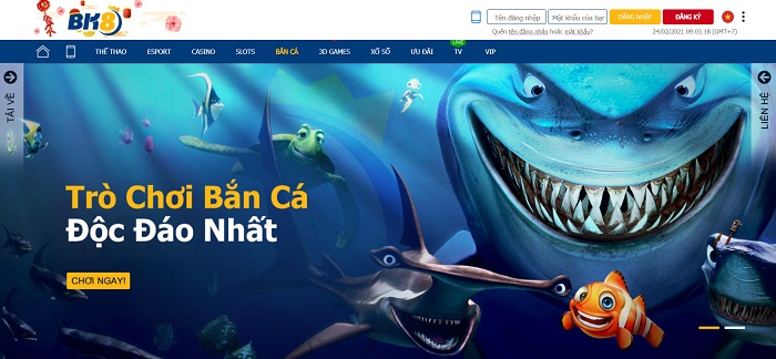 Bk8bong | Link vào Bk8bong mới nhất | Đánh giá nhà cái Bk8bong