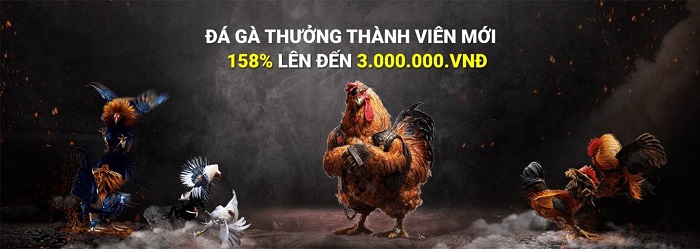 K9 Win | Link vào K9 Win mới nhất | Đánh giá nhà cái K9 Win